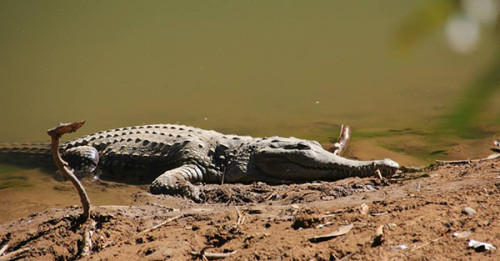 What to Expect on Broome to Darwin Tours