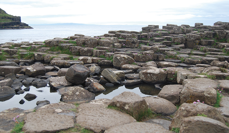 Belfast Giant's Causeway 2 Giant's Causeway