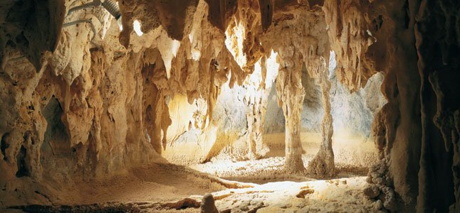 Top Attractions In Cairns