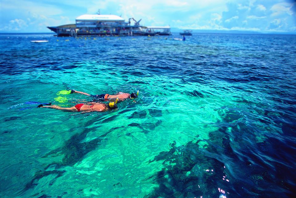 Dive the Great Barrier Reaf with Quick Silver Cruises