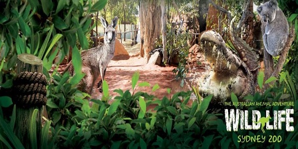 Sydney This August Things To Do In Sydney This August
