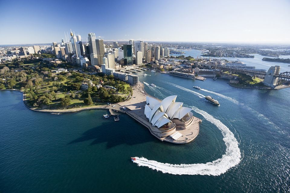 Sydwhale