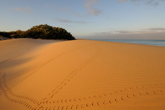 campsites in ningaloo