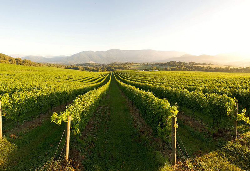 road trips in victoria