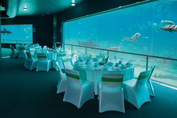 Travel To the Gold Coast