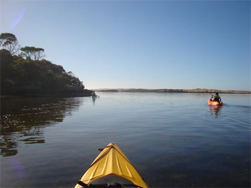 tours on kangaroo island