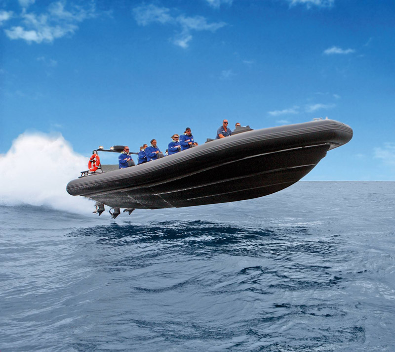 whale watching in Australia
