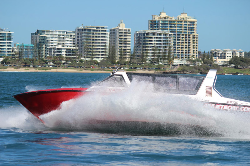whale watching in Australia
