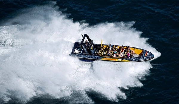 whale watching in Australia