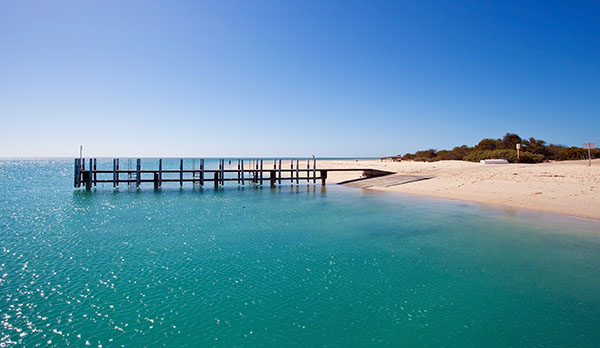 Perth to Broome tours via Monkey Mia
