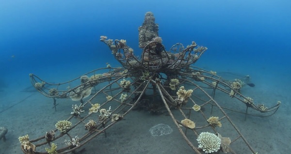 Deep Sea Diving The Best Ship Wreck Diving Videos