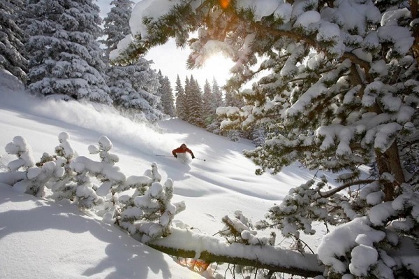 Ski Season Skier