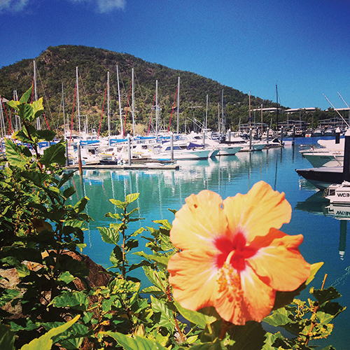 the whitsundays