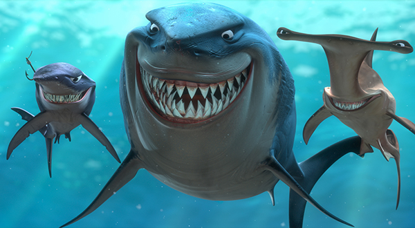 shark feeding frenzy