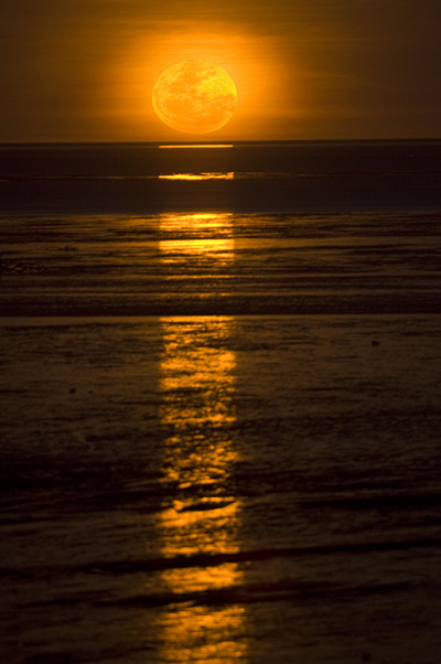 The Top 5 Things To Do When You Visit Broome