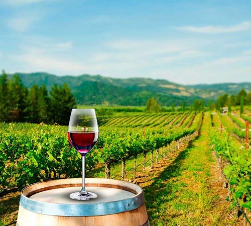 my mates tours winery tour Perth day trips
