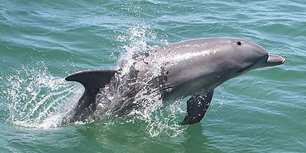 Things to do in Mandurah