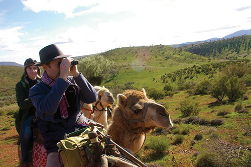 camel treks south australia