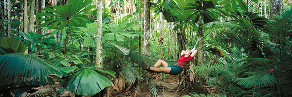 relax on Day Tours To The Great Barrier Reef & The Daintree