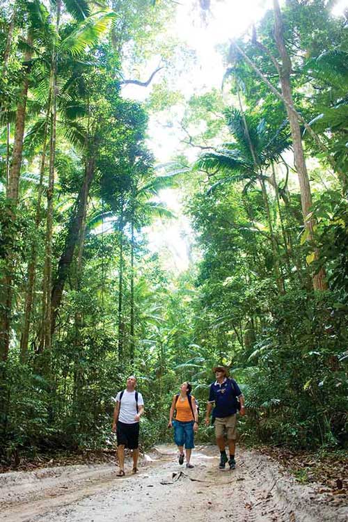Experience Fraser Island With Intrepid