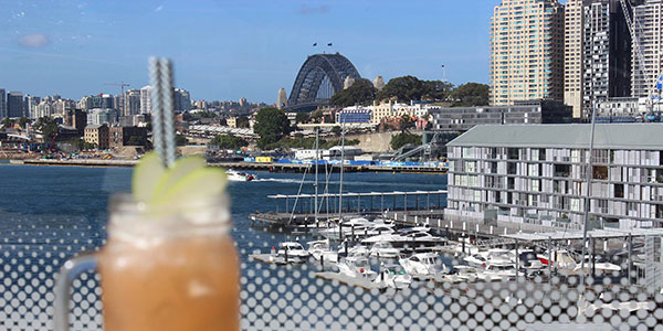 australia day at the star