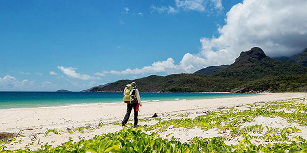 Moving To Australia Or New Zealand From The UK