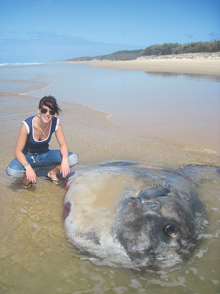 fraser island wildlife