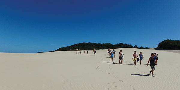 Fraser-Island-Sand fraser island tours