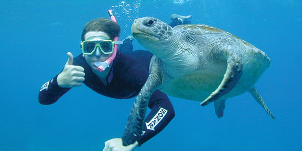 My-Mates-Byron-Bay-Snorkelling-4 snorkelling with turtle in NSW