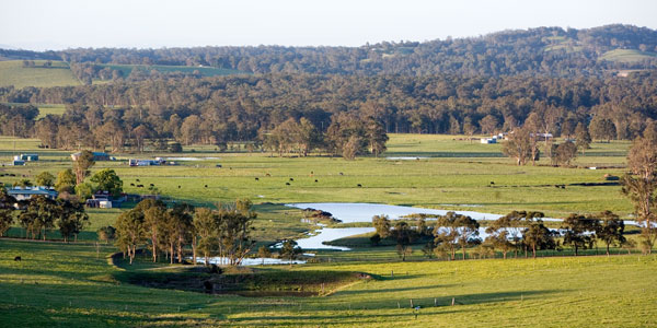campfire-1 Guide on Hunter Valley, New South Wales
