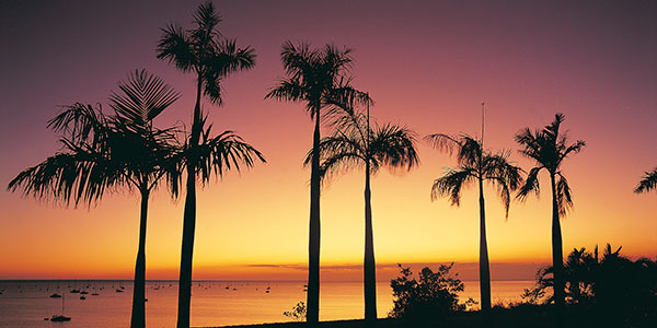 living and working in Darwin
