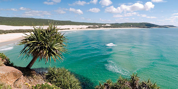 Fraser-Island-600x330 3 Day Fraser Island Camping Tour