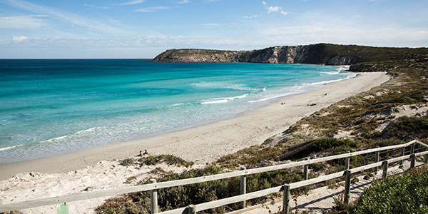kangaroo island adventure tours