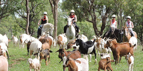 Kroombit-Queensland Kroombit Horseriding Queensland