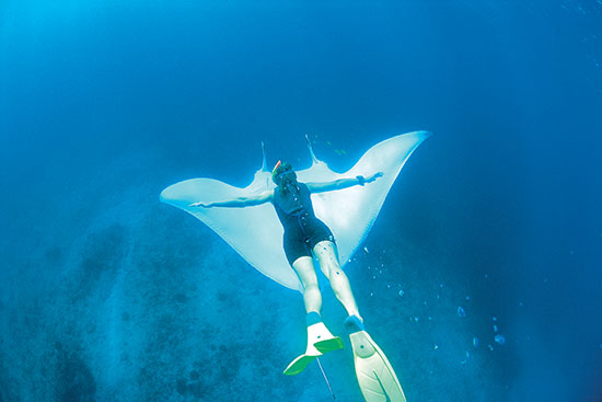 10 Reasons To Visit The Great Barrier Reef
