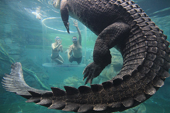 Things to Do in Darwin Today Things to Do in Darwin Today