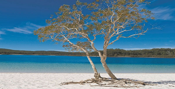 lake-mckenzie-fraser-island fraser island bucket list