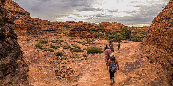 mulgas-tour Outback tours