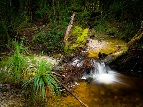 tasmania tours