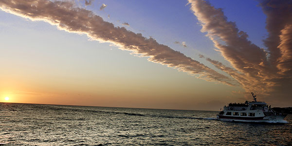 summer in ibiza