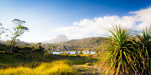 tasmania-landscape tasmania tours