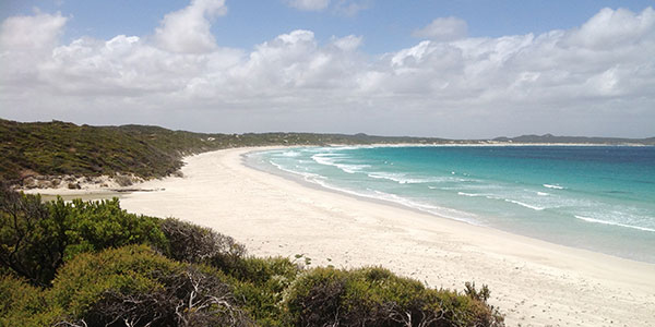 vivonne-bay-kangaroo-island vivonne bay kangaroo island