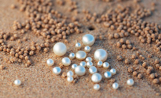 Visit a Pearl Farm in Broome