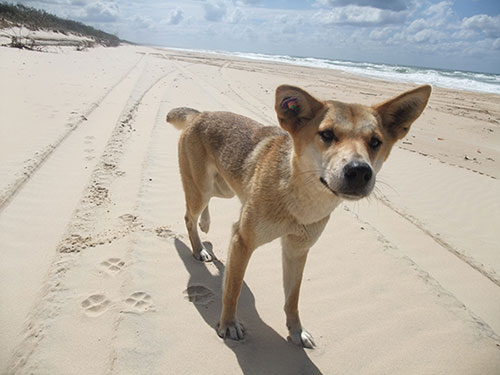 must see sights in australia