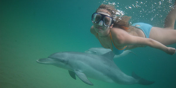 Dolphin-Discovery-Troy-Mayne dolphins koombana bay