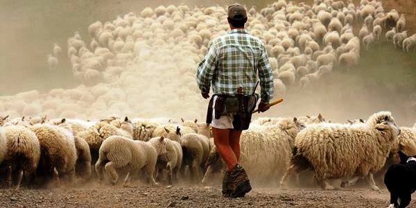 Farming jobs in Australia Farm jobs Australia