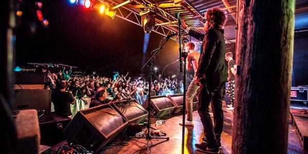 Leopallooza 2015 leopallooza festival 2015 uk