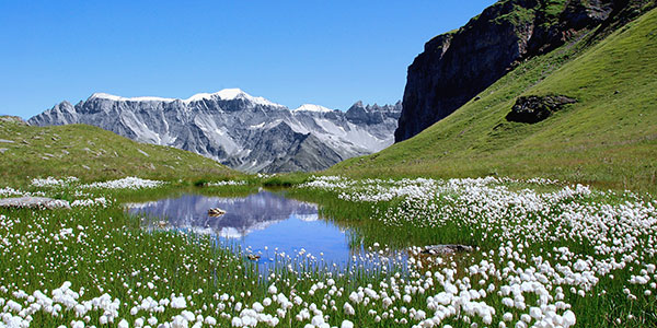 switzerland