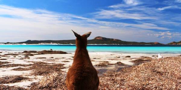 Working Holiday Visa