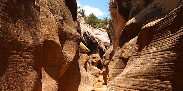 slot canyons